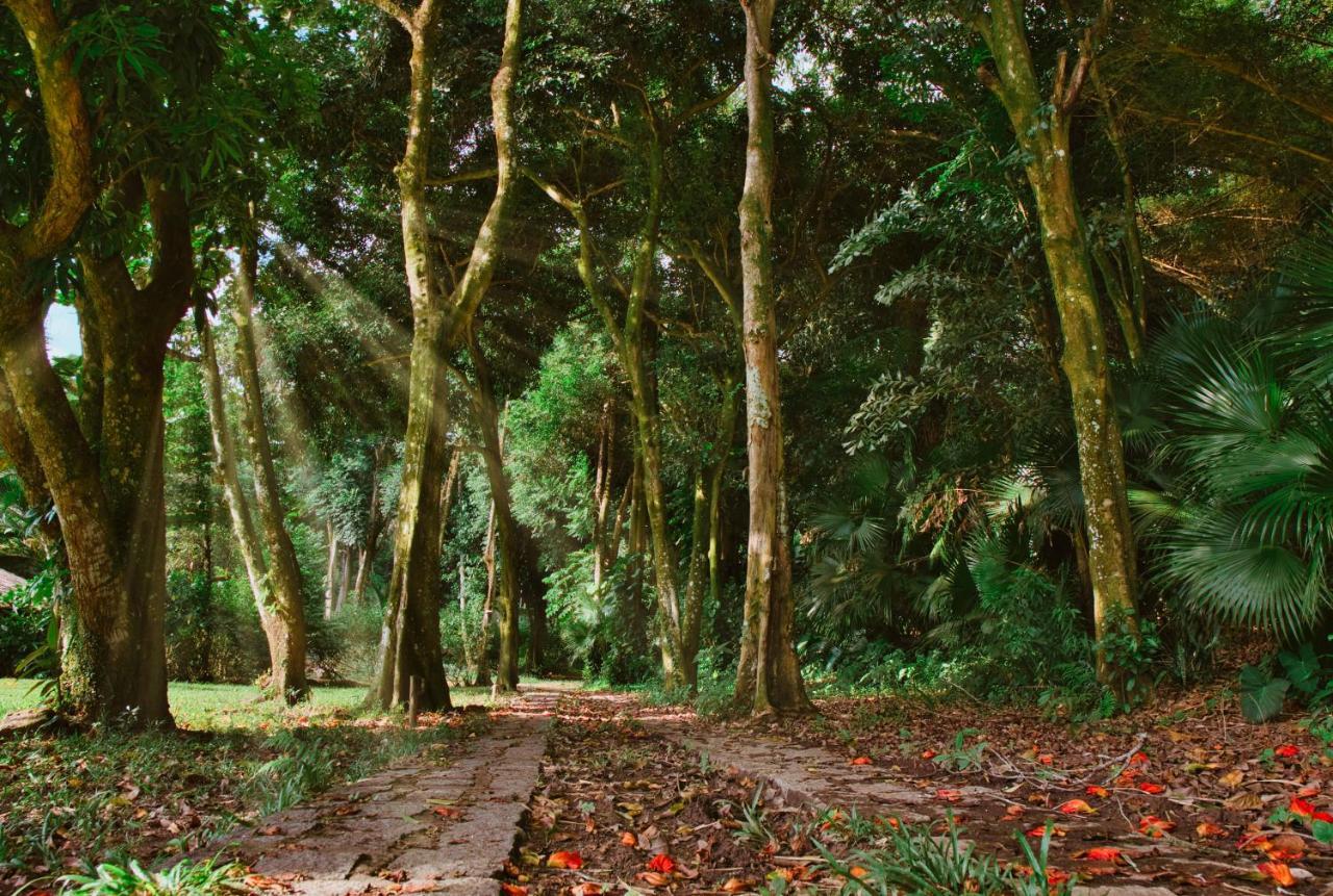 Vila Siriuba Hotel Ilhabela Bagian luar foto